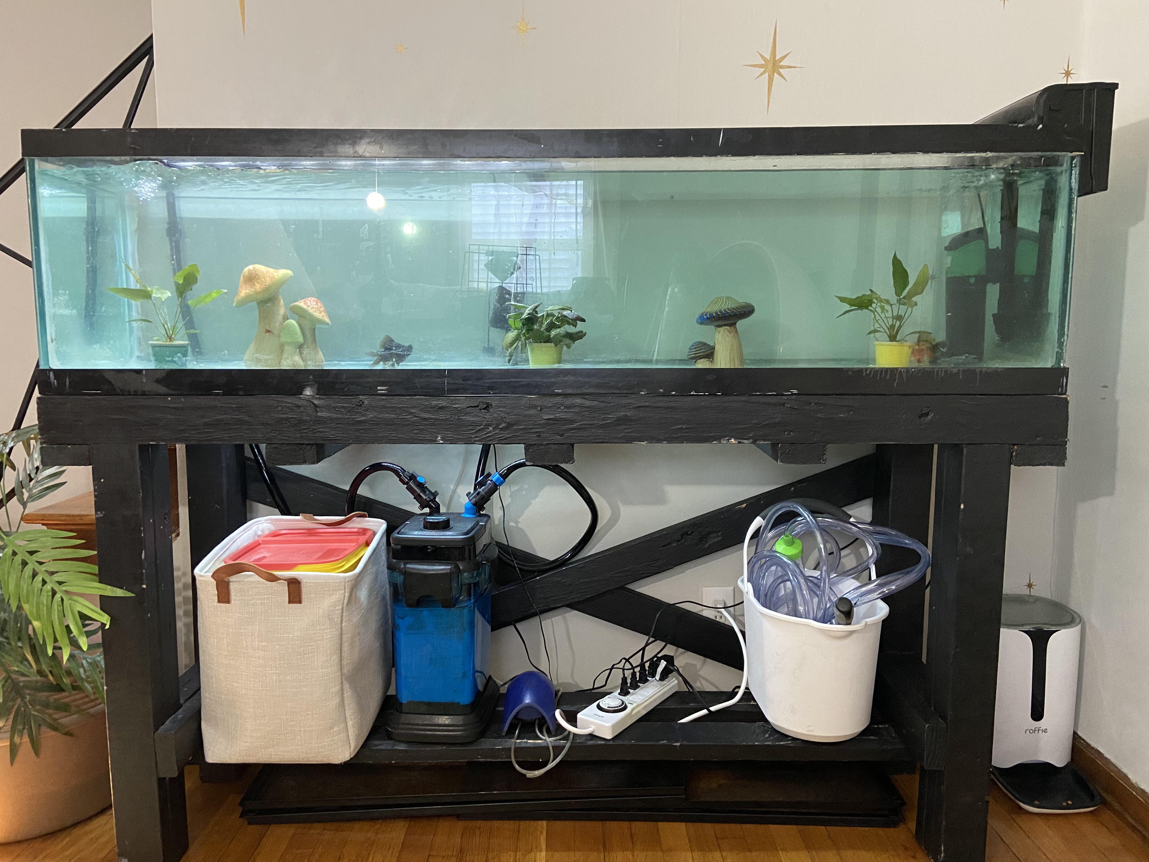 Optimized 100 gallon tank