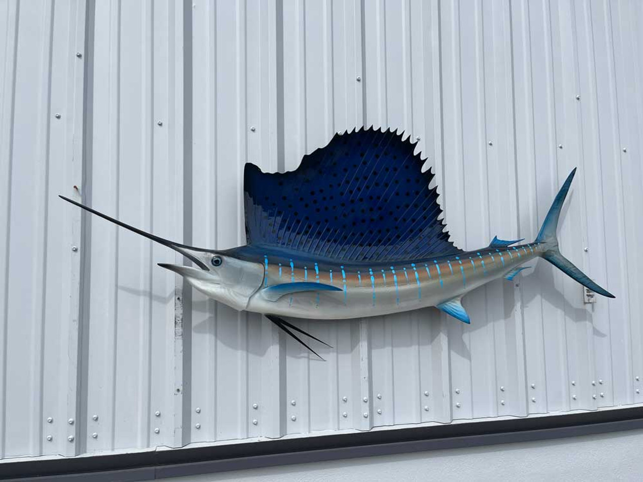 Sailfish and Swordfish