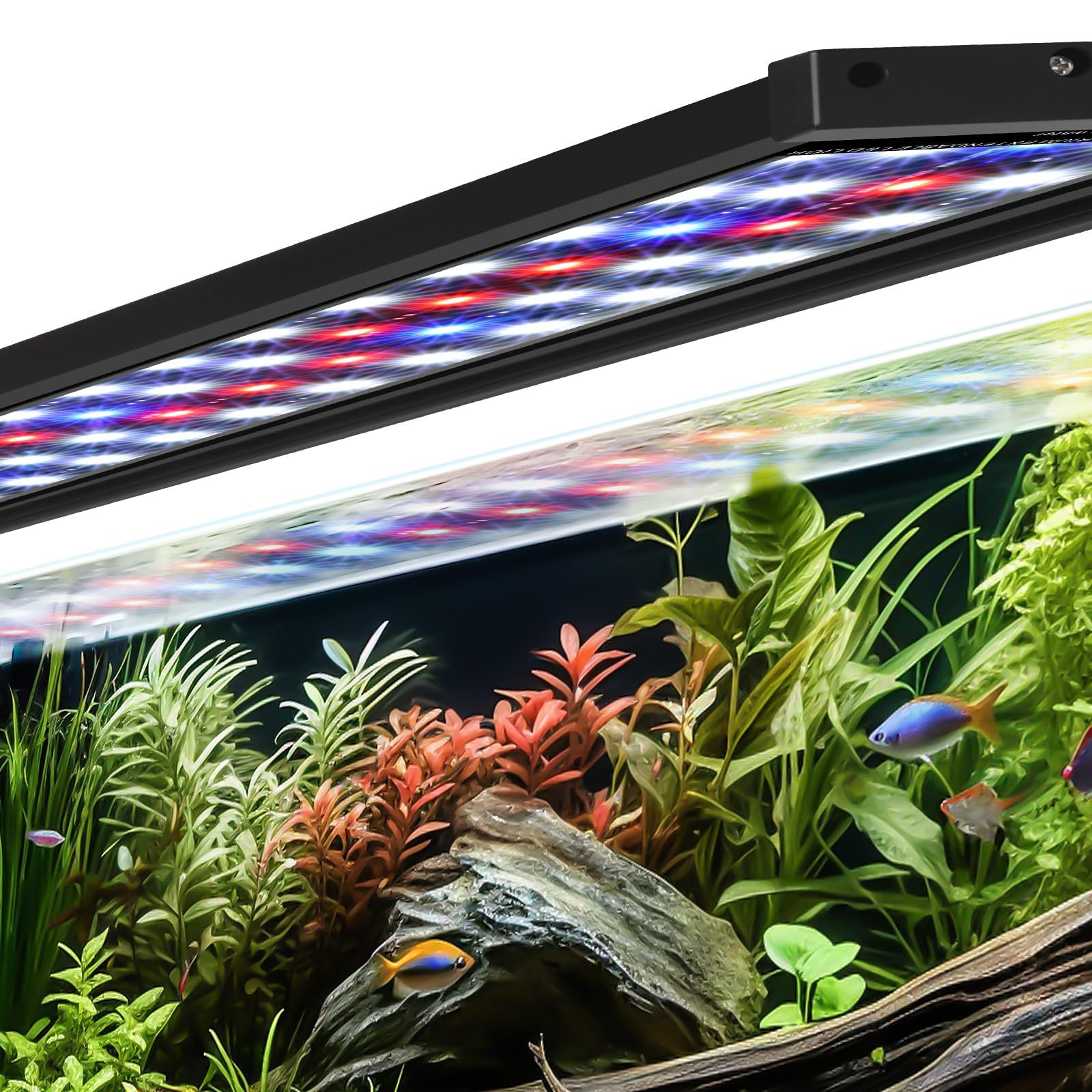 Various fish tank lighting solutions available