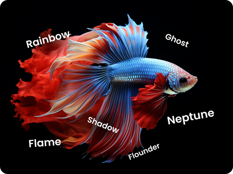 Unique Betta Fish Names